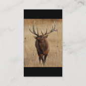 Profil oder Visitenkarte, Elch Visitenkarte (Rückseite)