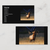 Profil oder Visitenkarte, Elch Visitenkarte (Vorne/Hinten)