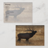 Profil oder Visitenkarte, Elchsignalhorn Visitenkarte (Vorne/Hinten)
