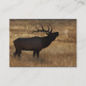 Profil oder Visitenkarte, Elchsignalhorn Visitenkarte (Rückseite)