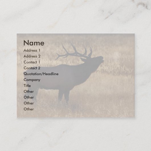 Profil oder Visitenkarte, Elchsignalhorn Visitenkarte (Vorderseite)