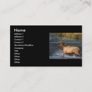 Profil oder Visitenkarte, Elchspritzen Visitenkarte