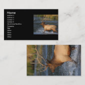 Profil oder Visitenkarte, Elchspritzen Visitenkarte (Vorne/Hinten)