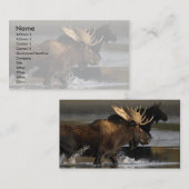 Profil oder Visitenkarte, Elchspritzen Visitenkarte (Vorne/Hinten)