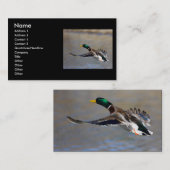 Profil oder Visitenkarte, Ente Visitenkarte (Vorne/Hinten)