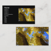 Profil oder Visitenkarte, Espe Visitenkarte (Vorne/Hinten)