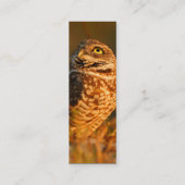 Profil oder Visitenkarte, Eule grabend Mini Visitenkarte (Rückseite)