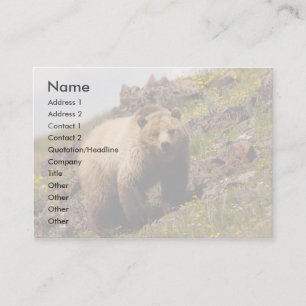 Profil oder Visitenkarte, Grizzlybär Visitenkarte