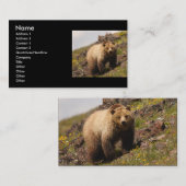 Profil oder Visitenkarte, Grizzlybär Visitenkarte (Vorne/Hinten)