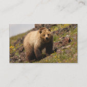 Profil oder Visitenkarte, Grizzlybär Visitenkarte (Rückseite)