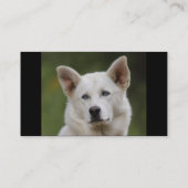 Profil oder Visitenkarte, Hund Visitenkarte (Rückseite)