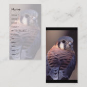 Profil oder Visitenkarte, Kestrel Visitenkarte (Vorne/Hinten)