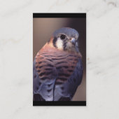 Profil oder Visitenkarte, Kestrel Visitenkarte (Rückseite)