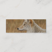 Profil oder Visitenkarte, Kojote Mini Visitenkarte (Rückseite)