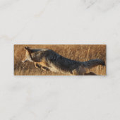 Profil oder Visitenkarte, Kojotespringen Mini Visitenkarte (Rückseite)