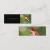 Profil oder Visitenkarte, Kolibri Mini Visitenkarte (Vorne/Hinten)