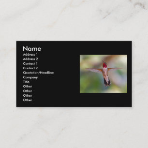 Profil oder Visitenkarte, Kolibri Visitenkarte