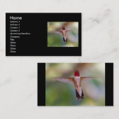Profil oder Visitenkarte, Kolibri Visitenkarte (Vorne/Hinten)