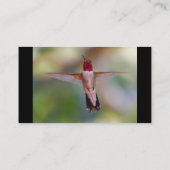 Profil oder Visitenkarte, Kolibri Visitenkarte (Rückseite)
