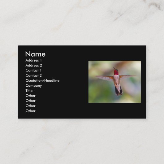 Profil oder Visitenkarte, Kolibri Visitenkarte (Vorderseite)