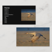 Profil oder Visitenkarte, Kran Visitenkarte (Vorne/Hinten)