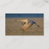 Profil oder Visitenkarte, Kran Visitenkarte (Rückseite)