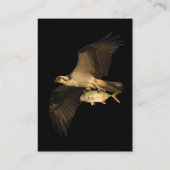 Profil oder Visitenkarte, Osprey Visitenkarte (Rückseite)