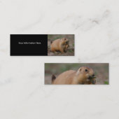 Profil oder Visitenkarte, Präriehund Mini Visitenkarte (Vorne/Hinten)