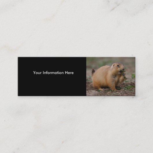 Profil oder Visitenkarte, Präriehund Mini Visitenkarte (Vorderseite)