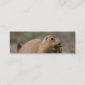 Profil oder Visitenkarte, Präriehund Mini Visitenkarte (Rückseite)