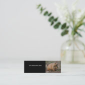 Profil oder Visitenkarte, Präriehund Mini Visitenkarte (Stehend Vorderseite)