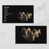 Profil oder Visitenkarte, RAMs Visitenkarte (Vorne/Hinten)