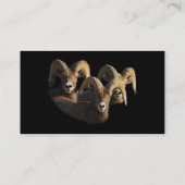 Profil oder Visitenkarte, RAMs Visitenkarte (Rückseite)