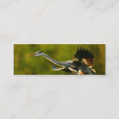 Profil oder Visitenkarte, Reiher Mini Visitenkarte (Rückseite)