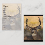 Profil oder Visitenkarte, Rotwild Visitenkarte (Vorne/Hinten)