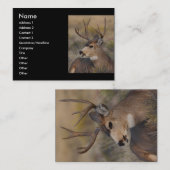 Profil oder Visitenkarte, Rotwild Visitenkarte (Vorne/Hinten)
