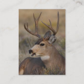 Profil oder Visitenkarte, Rotwild Visitenkarte (Rückseite)