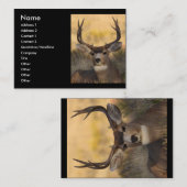 Profil oder Visitenkarte, Rotwild Visitenkarte (Vorne/Hinten)
