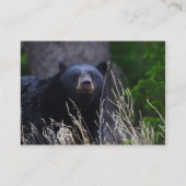 Profil oder Visitenkarte, schwarzer Bär Visitenkarte (Rückseite)