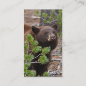 Profil oder Visitenkarte, schwarzer Bär Visitenkarte (Rückseite)