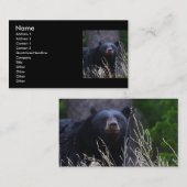Profil oder Visitenkarte, schwarzer Bär Visitenkarte (Vorne/Hinten)