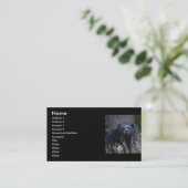Profil oder Visitenkarte, schwarzer Bär Visitenkarte (Stehend Vorderseite)