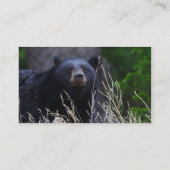 Profil oder Visitenkarte, schwarzer Bär Visitenkarte (Rückseite)
