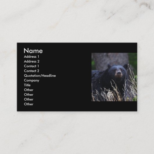 Profil oder Visitenkarte, schwarzer Bär Visitenkarte (Vorderseite)