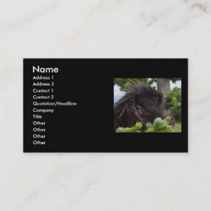 Profil oder Visitenkarte, Stachelschwein Visitenkarte