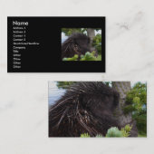 Profil oder Visitenkarte, Stachelschwein Visitenkarte (Vorne/Hinten)