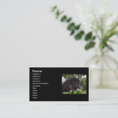 Profil oder Visitenkarte, Stachelschwein Visitenkarte (Stehend Vorderseite)