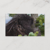 Profil oder Visitenkarte, Stachelschwein Visitenkarte (Rückseite)