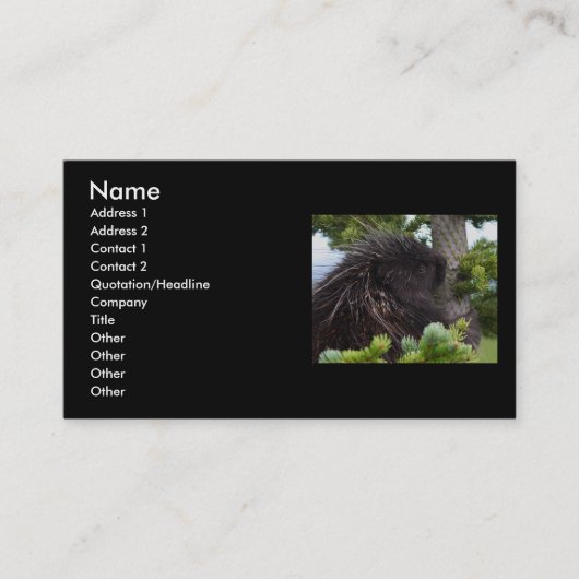 Profil oder Visitenkarte, Stachelschwein Visitenkarte (Vorderseite)