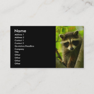 Profil oder Visitenkarte, Waschbär Visitenkarte
